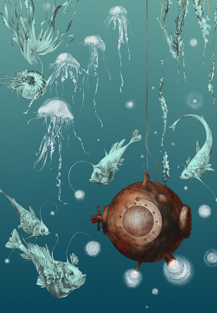 Carta da parati Nautilus/ Méduses/ Nénuphars - Turquoise - Nautilus droit - Turquoise