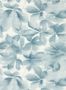 7709_3_Harlequin_Grounded_113006-101264