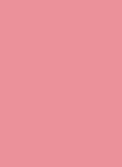 Brillux Lacryl-PU Schultafellack 258 - 3l - Pink