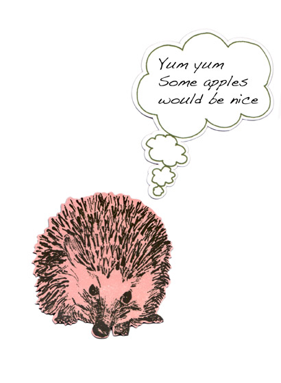 Magnet Hedgehog