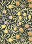 15240_13_Morris_and_Co_Fruit_510019-153509