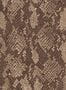 15409_01_House_of_Hackney_Cobra_1-WA-COB-DI-CHO-XXX-188133