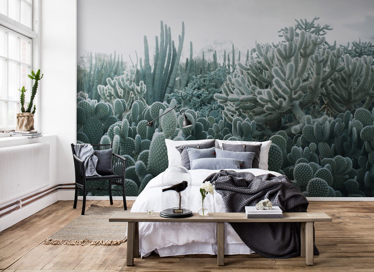 Wandbild Cacti