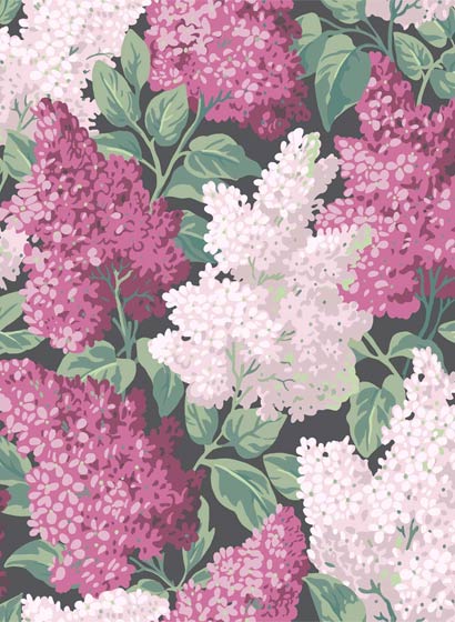 Tapete Lilac - Pinks