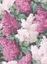 4064_3_cole-and-son_lilac_115-1001-31716