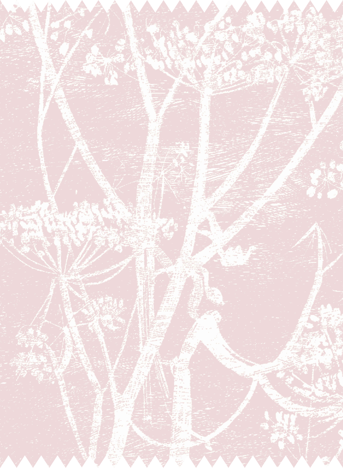 Stoff Cow Parsley Linen - White & Ballet Slipper