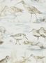 3675_2_sanderson_estuary-birds_216492-30322