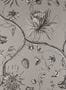 6983_1_Zoffany_Phaedra_312621-92098