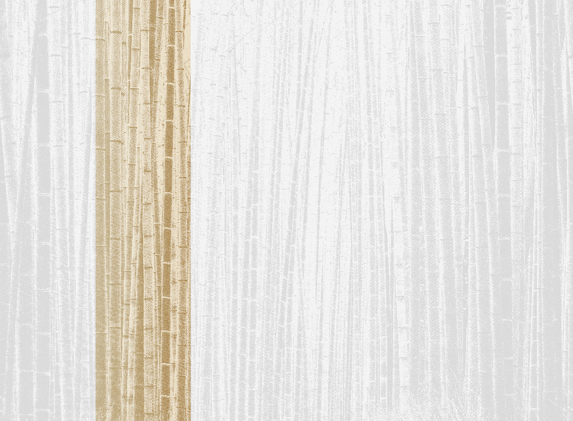 Wandbild Arashiyama - Sunrise Panel 2