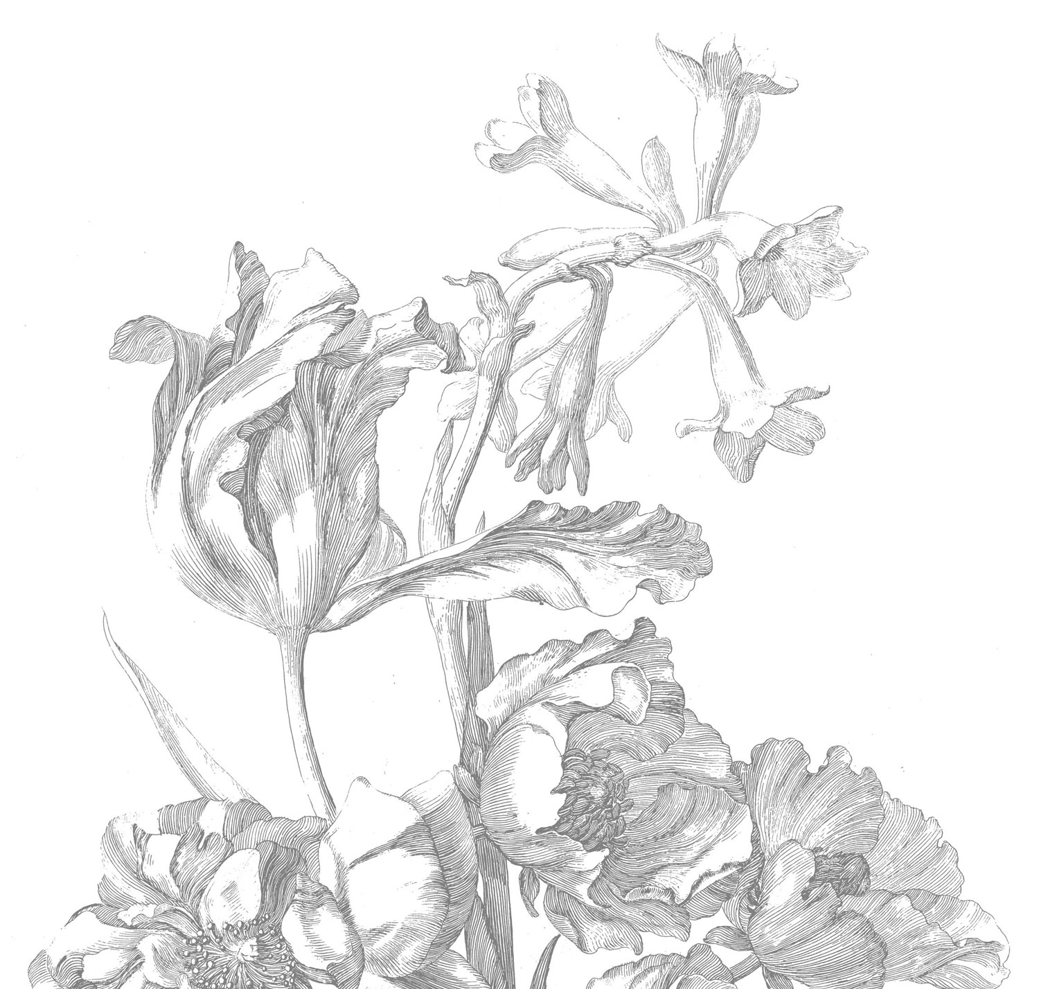 Wandbild Engraved Flowers 6 - L