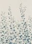 16260_2_Sandberg_Ivy_S10485-141564