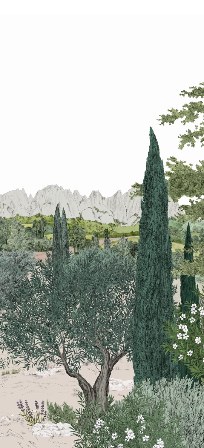 Wandbild Provence - Été Panel C