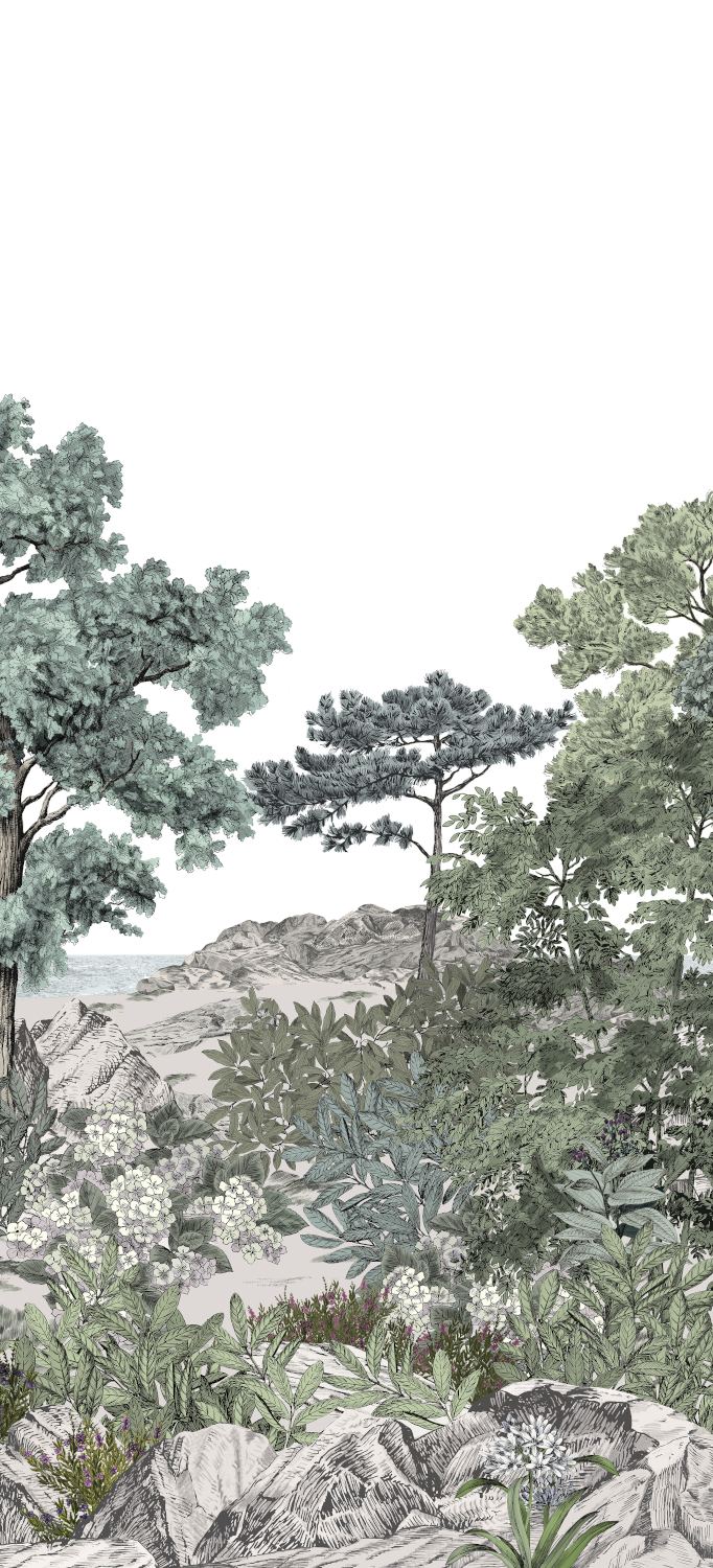 Wandbild Foret de Bretagne Naturel - Naturel – Bahnen 4/5/6
