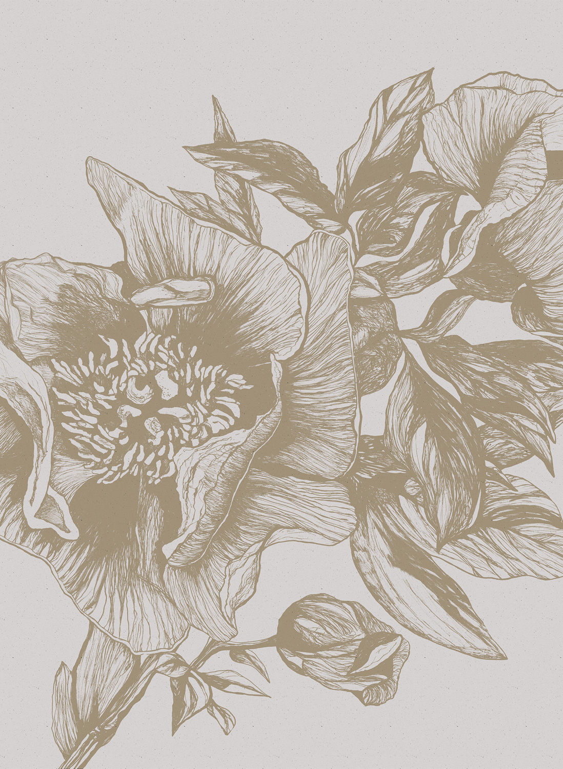 Wandbild Giant Peonies - Papirus