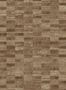 17092_02_Omexco_Tomentosa_IM22-164967