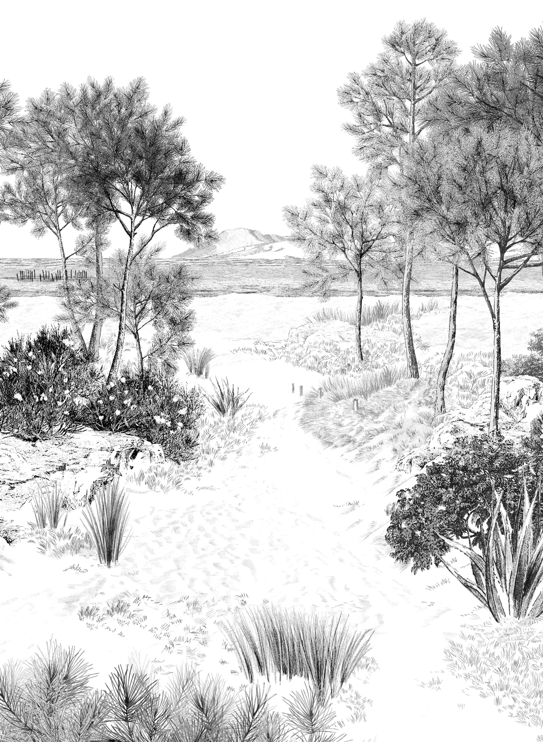 Wandbild Dune Gris - Gris - Bahnen 1/2/3