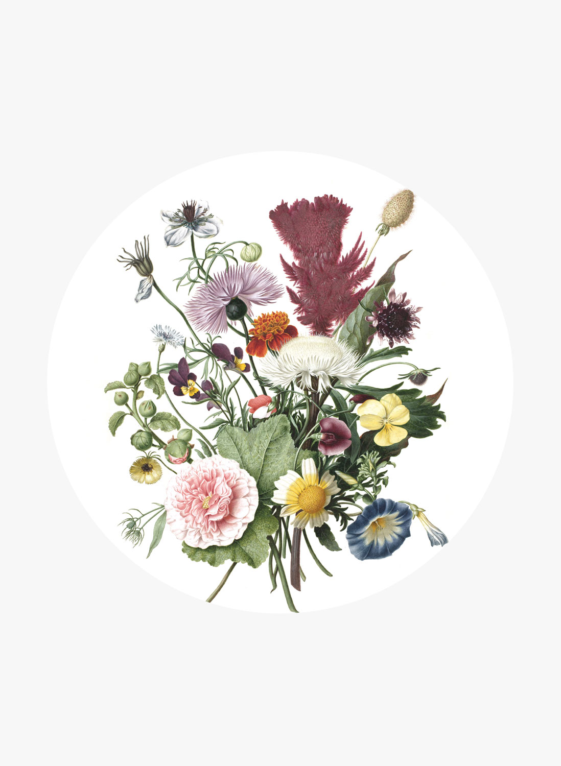 Wandbild Wild Flowers Circle - M - 1.9m
