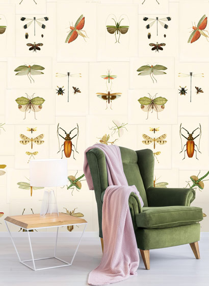 Tapete Entomology