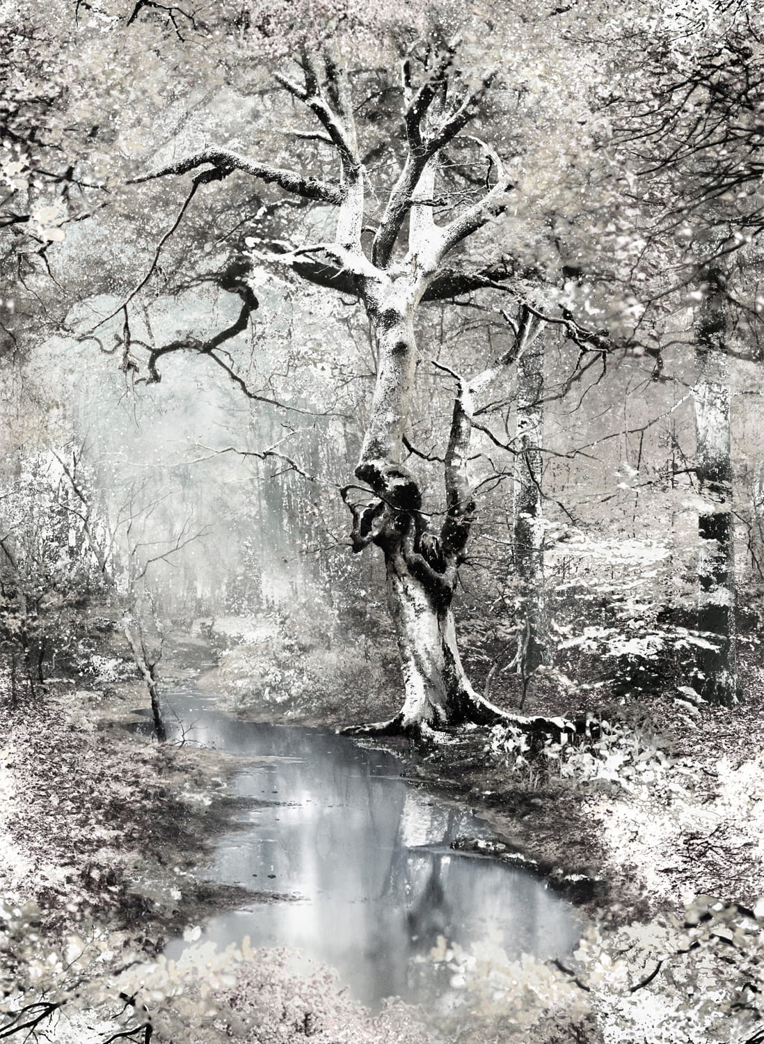Wandbild Sous Bois - Crepuscule