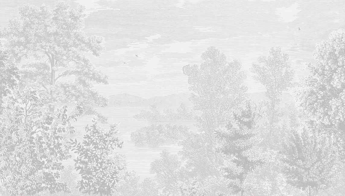 Wandbild Etched Landscape - 9475W