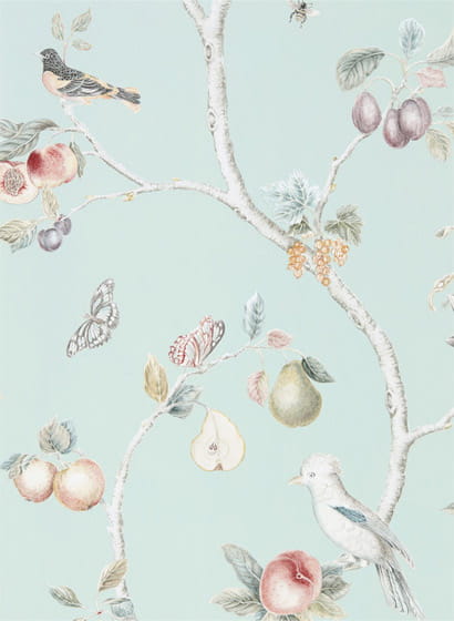 Tapete Fruit Aviary