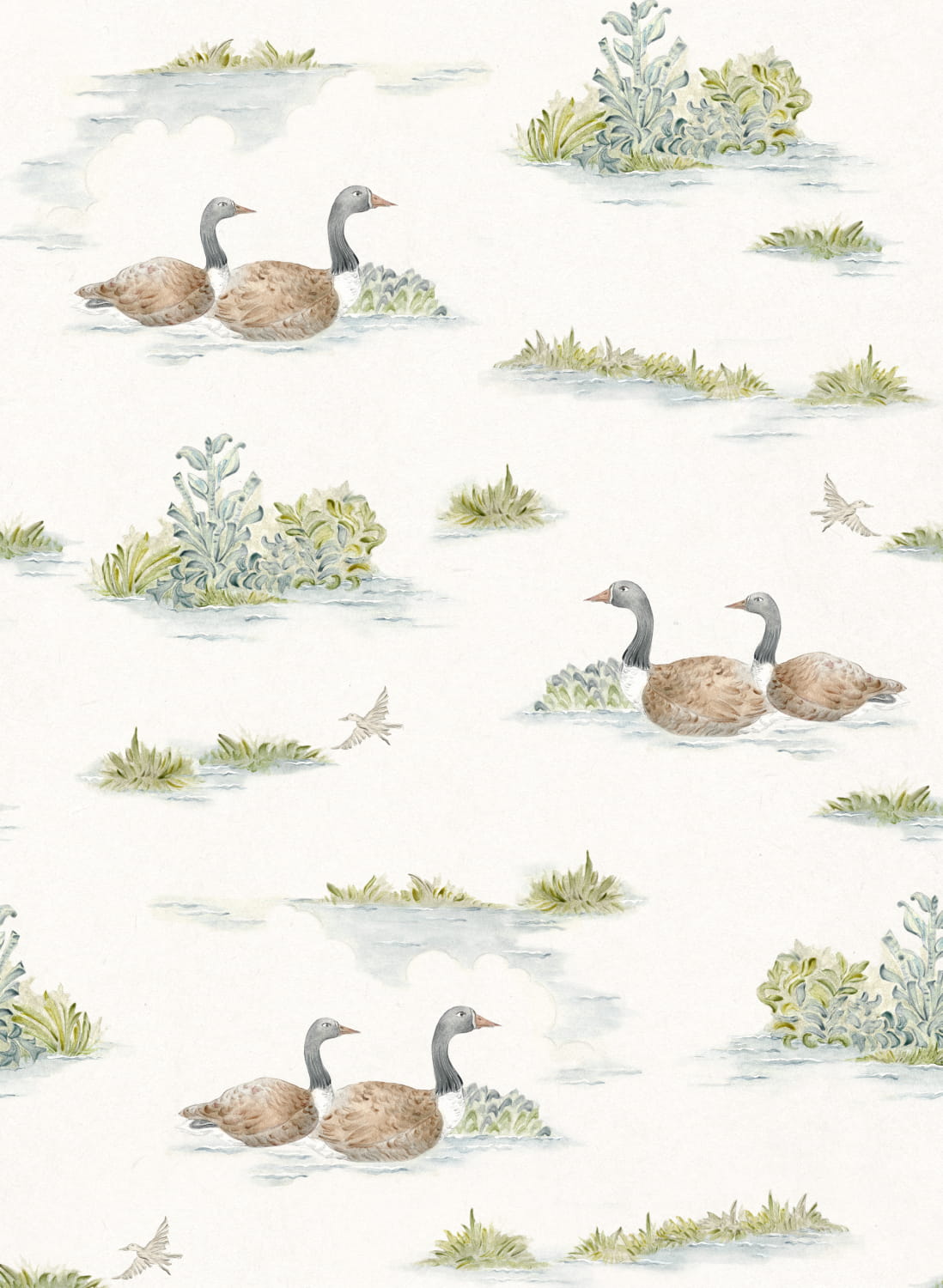 Tapete Mallard Duck - Sage