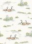 16338_03_Coordonné_Mallard_Duck_YSP0536-152813