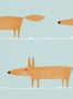 2538_2_scion_mr_fox_110849-25914