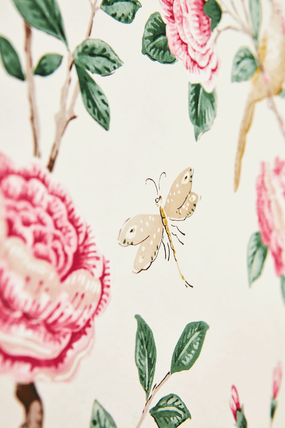Tapete Andhara - Rose/ Cream