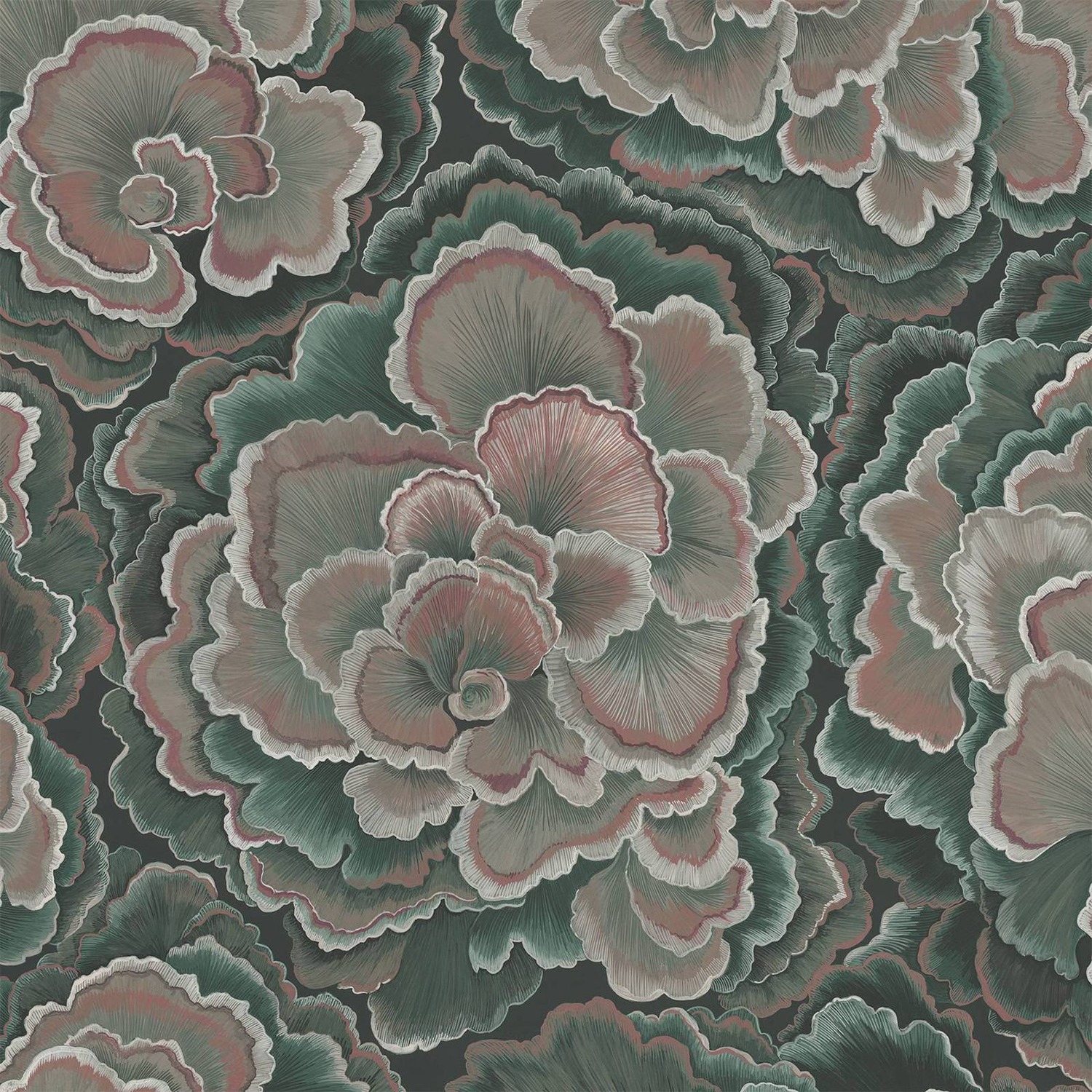 Tapete Trametes - Hosta