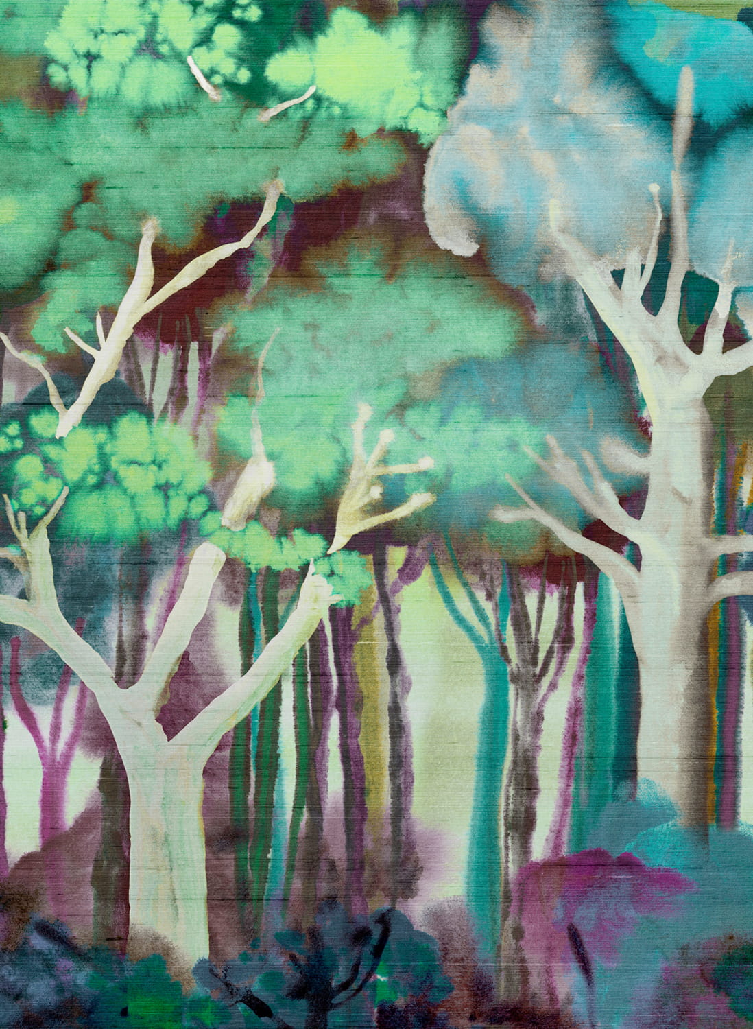 Wandbild Banyan - Deep Forest