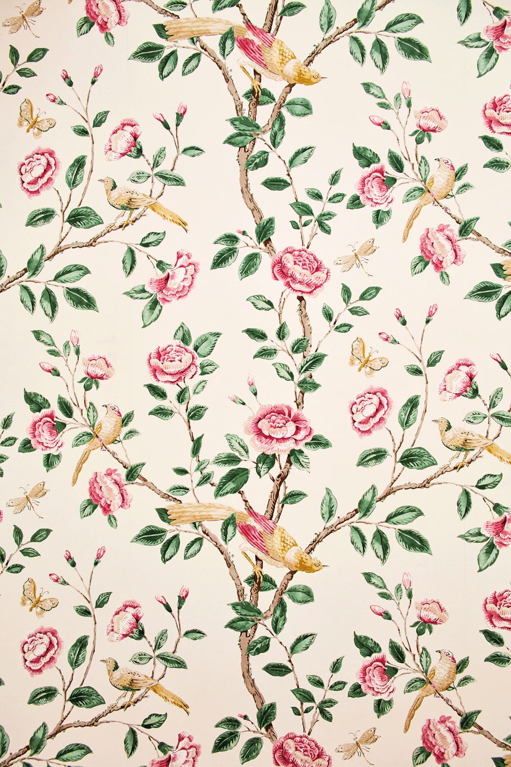 Tapete Andhara - Rose/ Cream