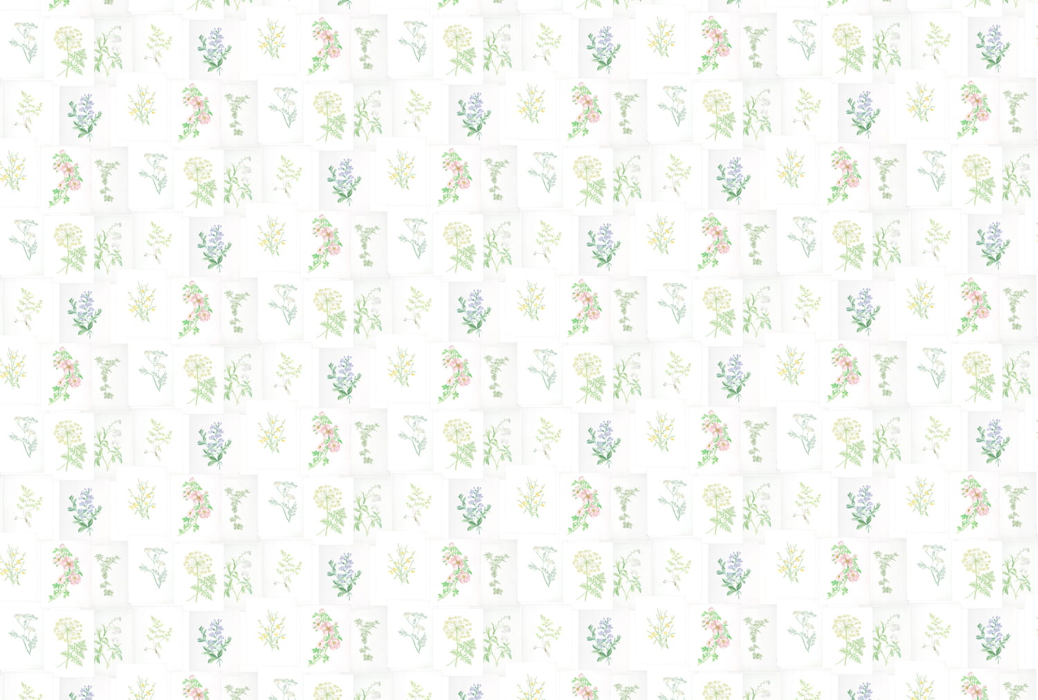 Wandbild Botanika - 7800994