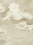 7711_1_Harlequin_Air_113002-101167