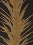 5180_4_sanderson_yucca_216651-54593