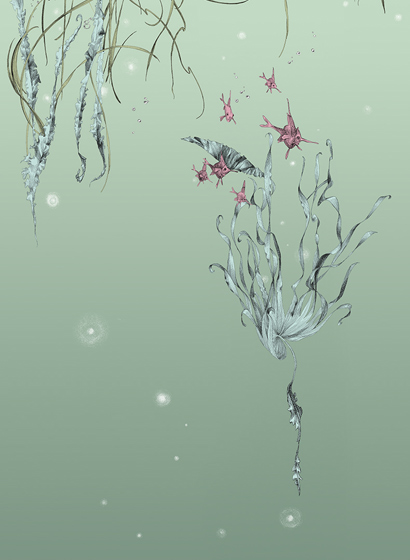 Tapete Nautilus/ Méduses/ Nénuphars - Nénuphars gauche - Aqua
