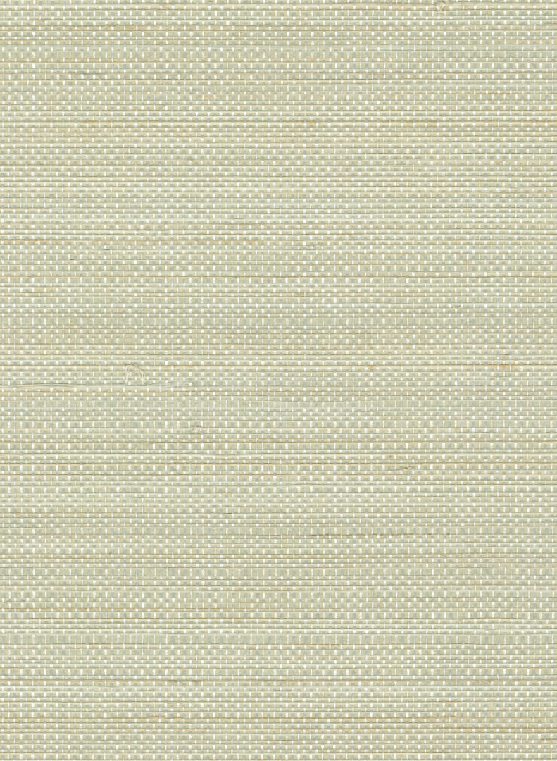 Tapete Pur Abaca - RM 1071 02