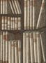 3893_4_ex-libris_cole-and-son_114-15030-51409