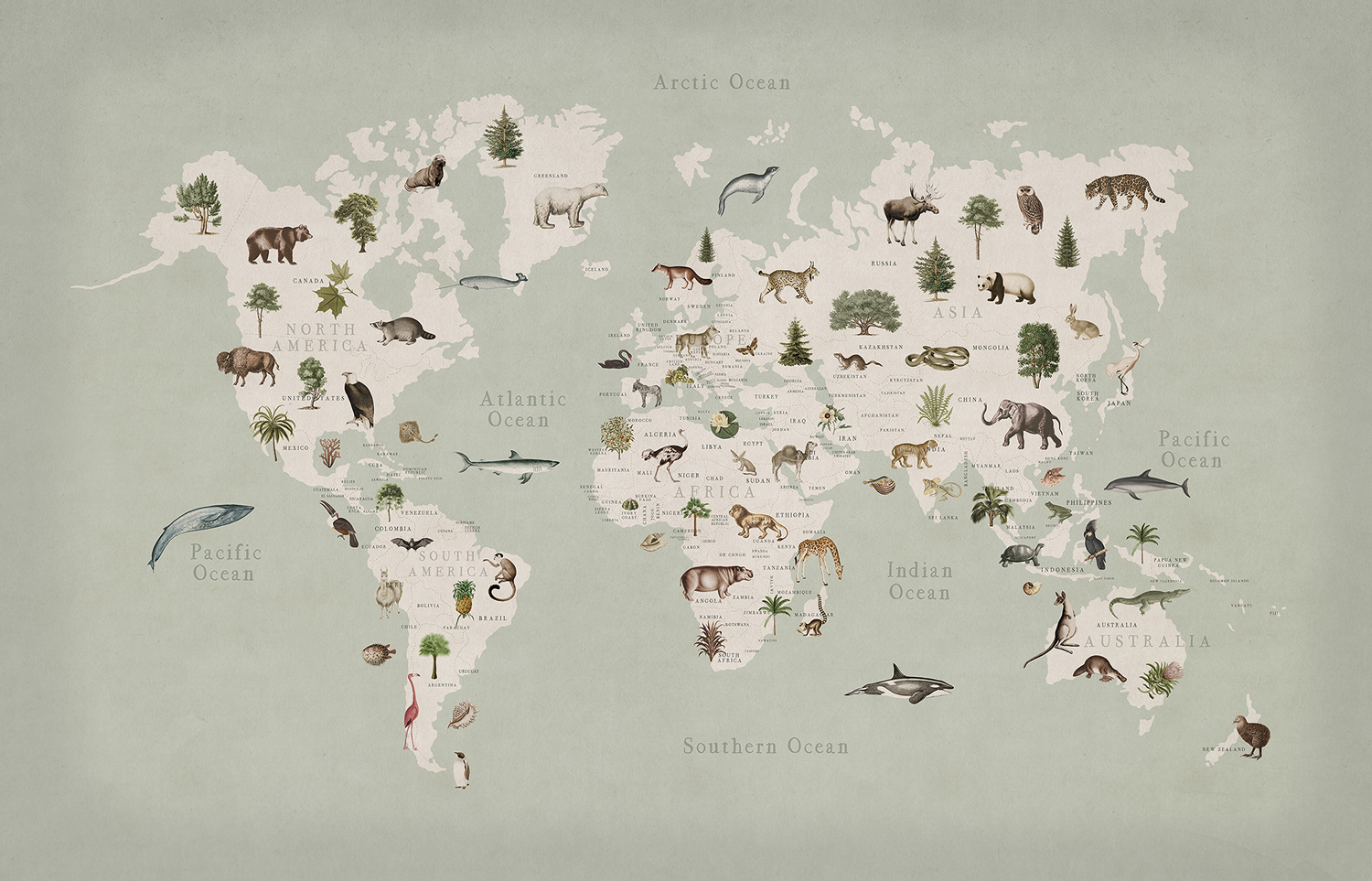 Wandbild Animal World - Mint