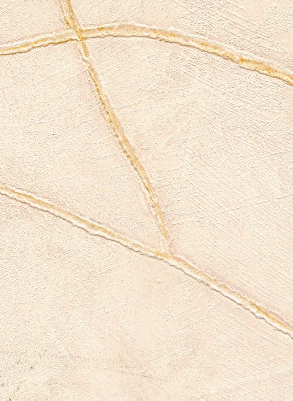 Tapete Kintsugi - VP 1004 52