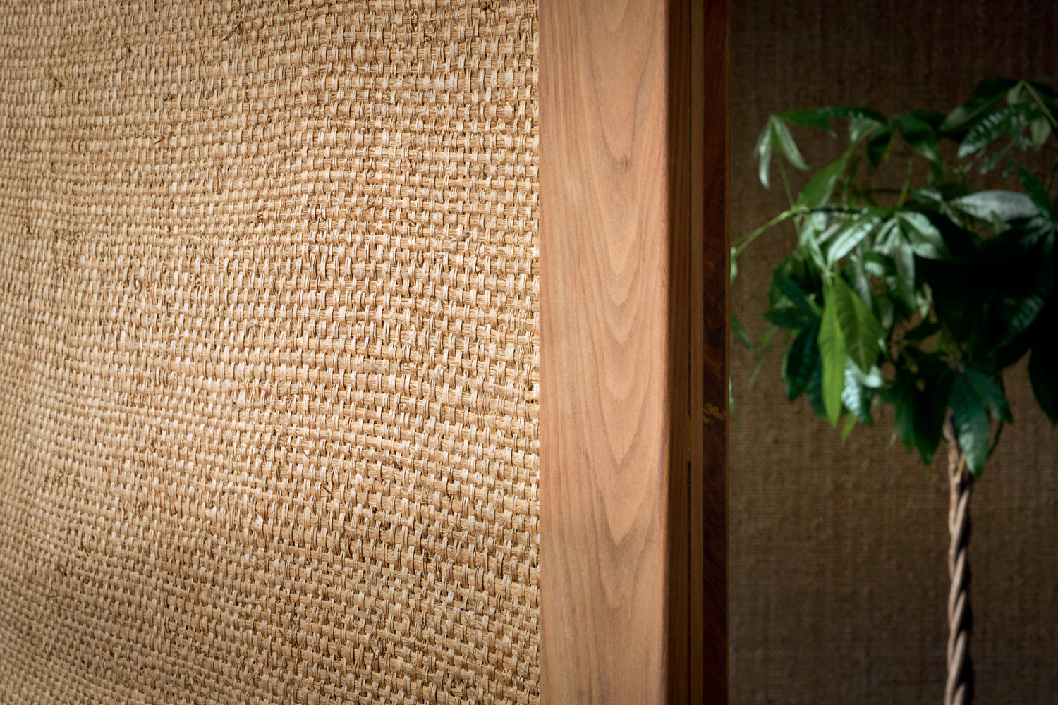 Tapete Papyrus Brut - Naturel