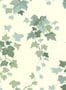 17273_01_Langelid-von-Broemssen_Ivy_48-35-204879