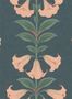 5702_3_cole_son_angels_trumpet_117-3009-59202