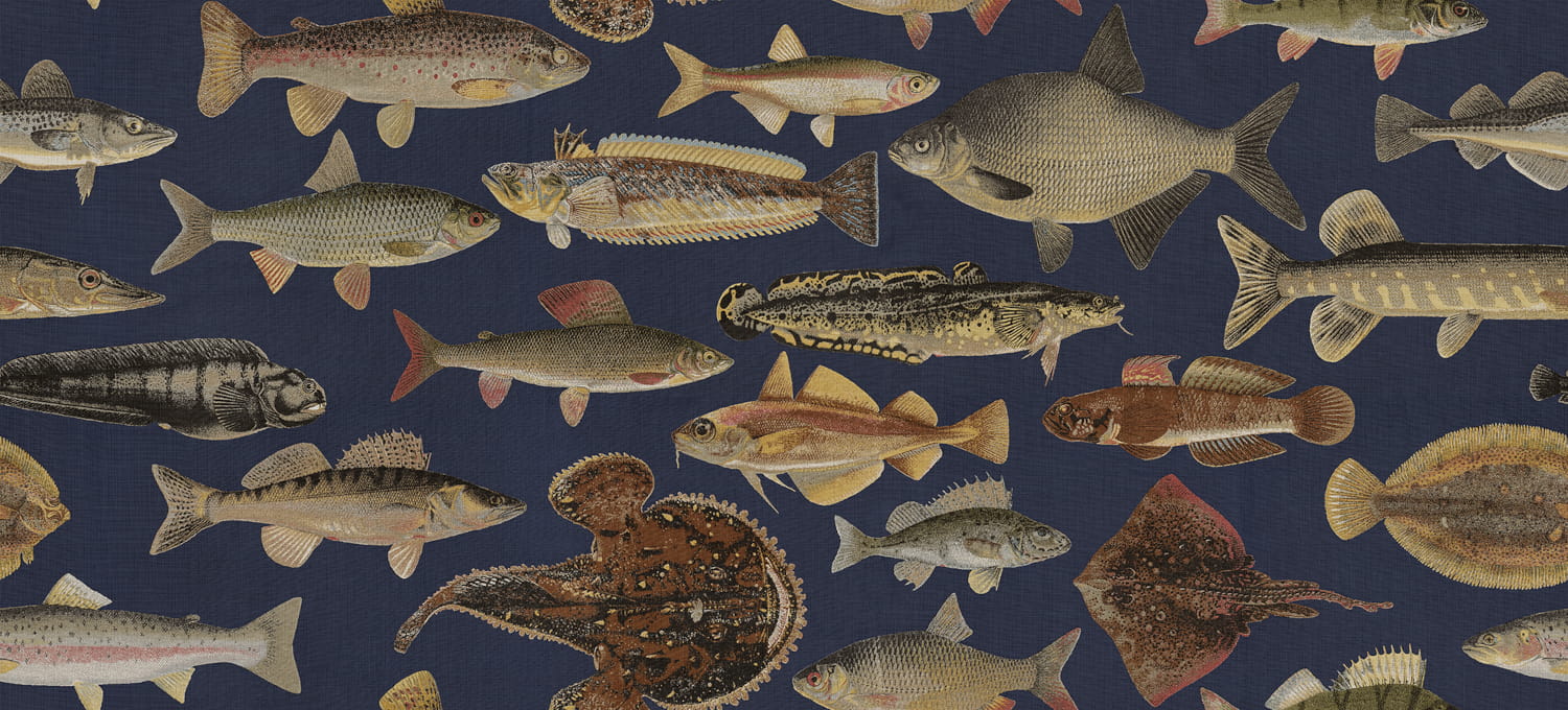 Wandbild Scandinavian Fishes - Dark Blue