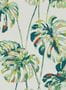3861_1_harlequin_kelapa_111753-30829