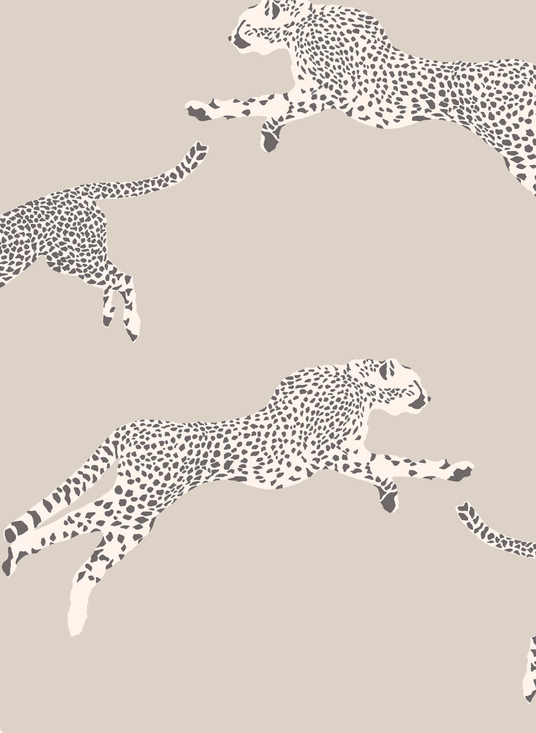 Tapete Leaping Cheetah - 26022