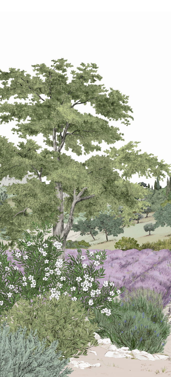 Wandbild Provence - Été Panel A