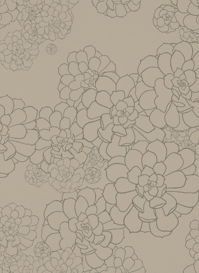 Tapete Aeonium - Cotton