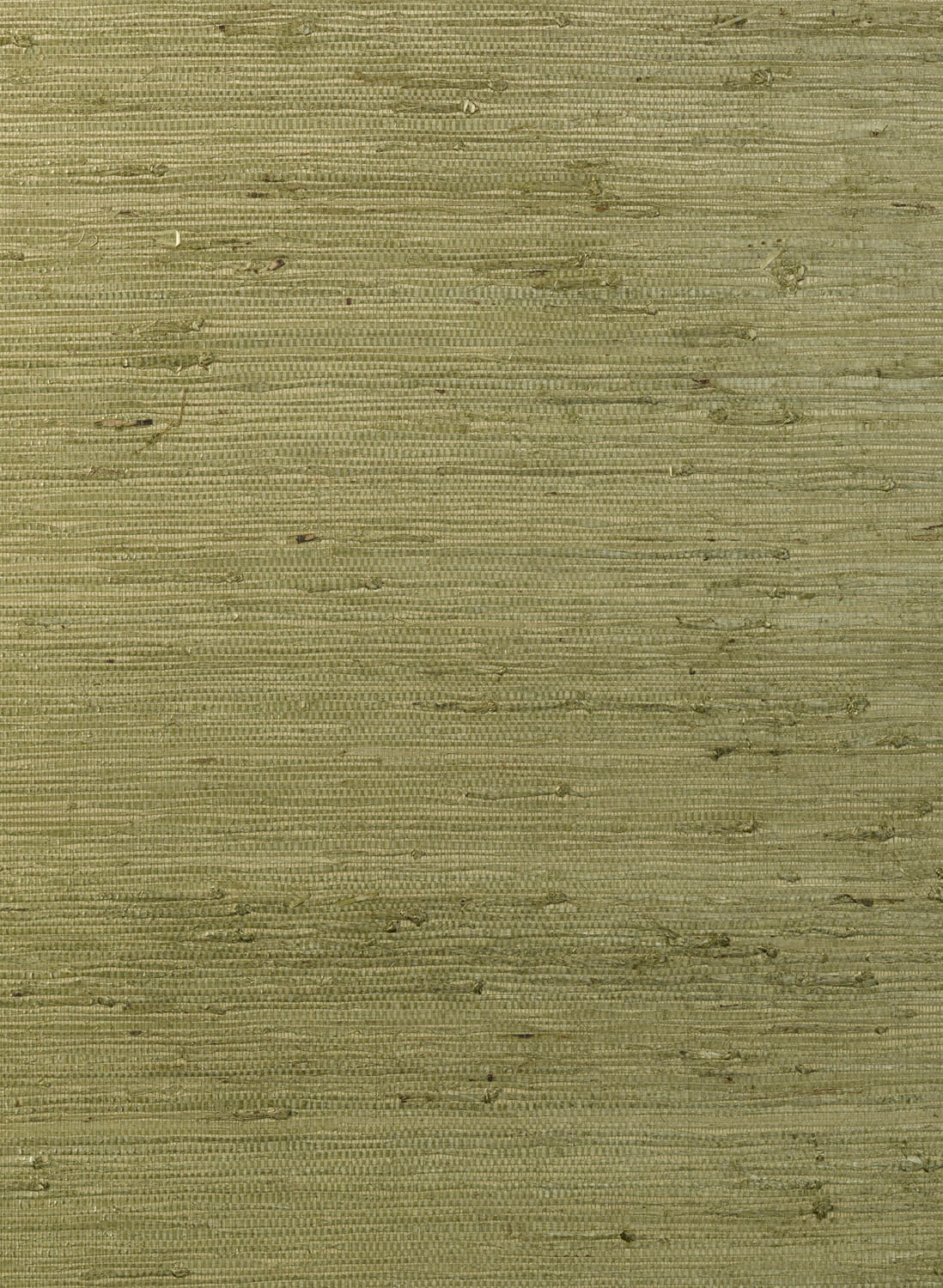 Tapete Kudzu - Olive