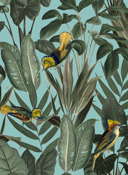 Tapete Yellow Bird - turquoise